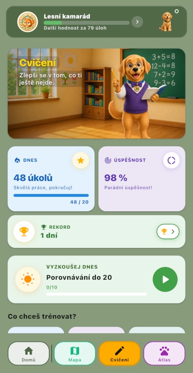 Procvičování